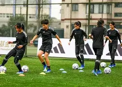 十大震惊足坛的事件